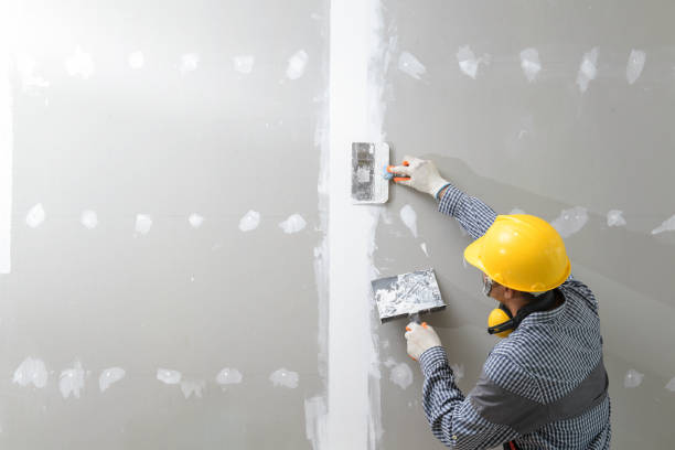 Reliable Beaufort, NC Mold Removal Solutions